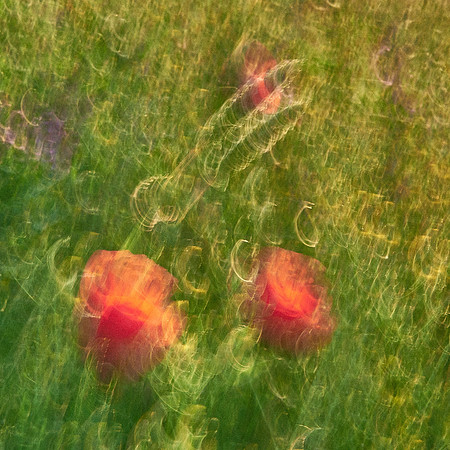 01_06966