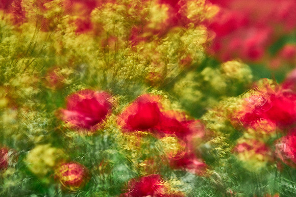 S1_07634