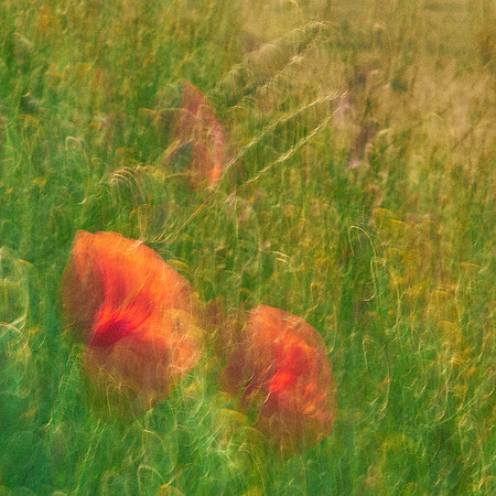 01_07027_1