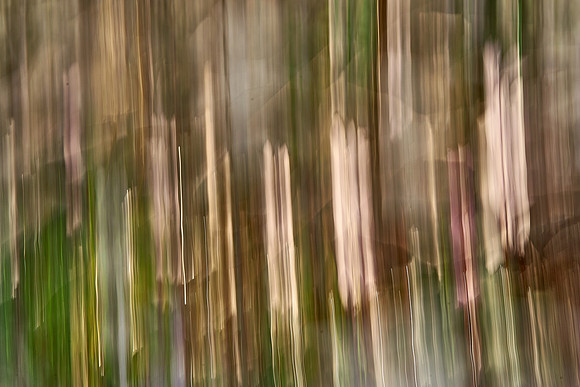 01_06651
