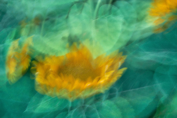 S1_01055