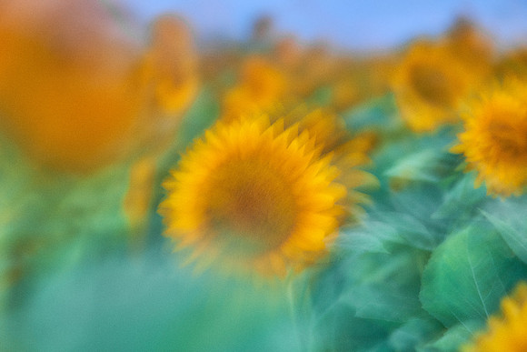 S1_01143
