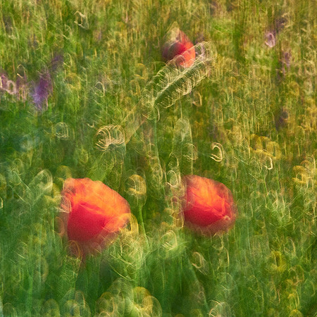 01_06967