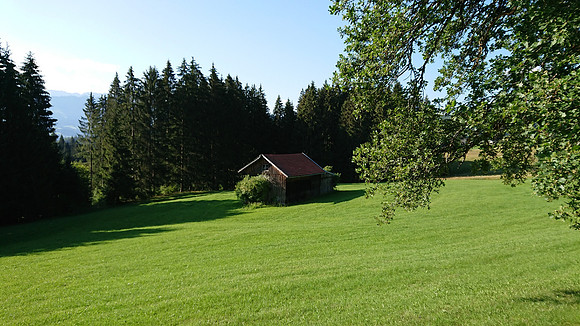 Image_272