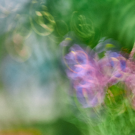 S1_04738