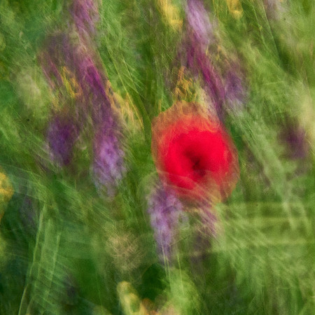 01_06776