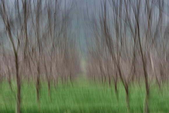 S1_04912