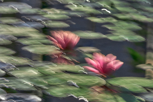 2023_04_14_158