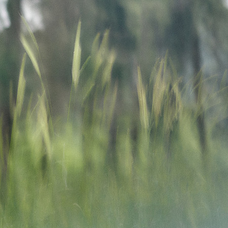 S1_07742