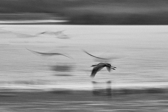 S1_02613_1