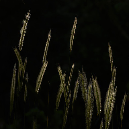 01_07430_1