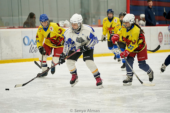 IMAGE_0248