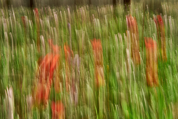 01_06562
