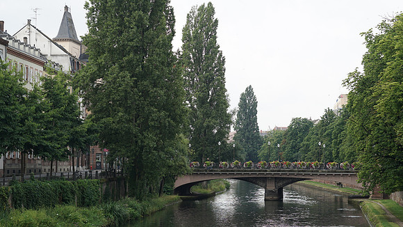 Image_030