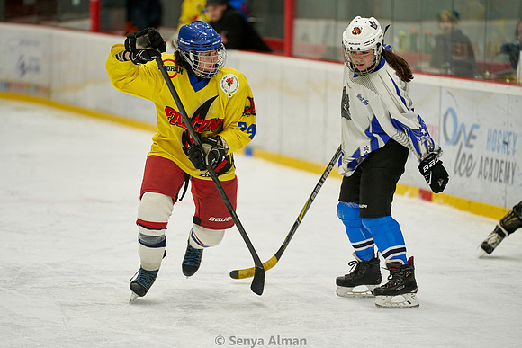 IMAGE_0292