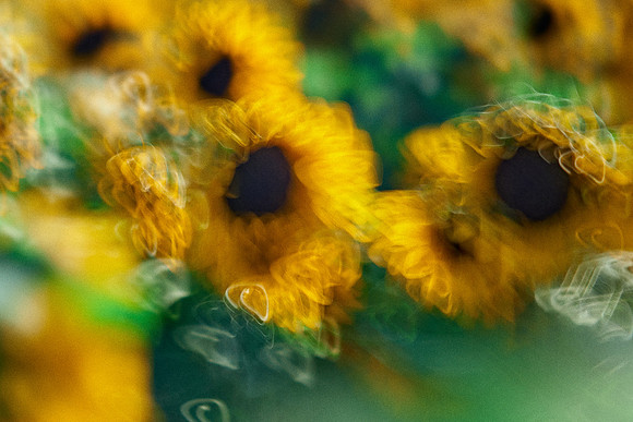 01_09004