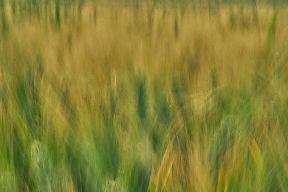 01_07059