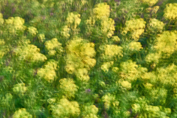 01_06872