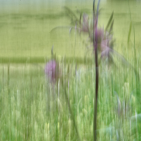 01_07969_1