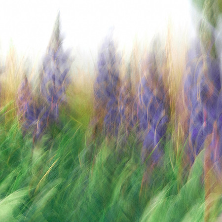 01_05992_1