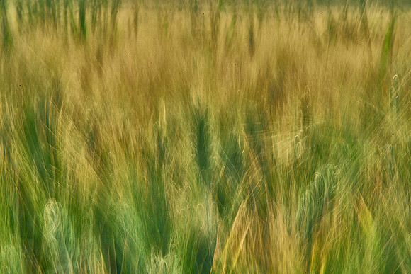 01_07059_1