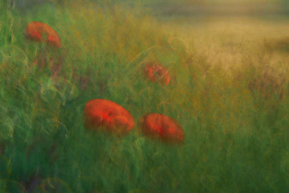 01_07000