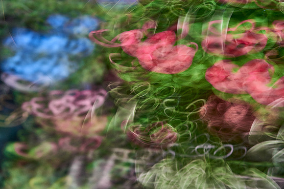 S1_04637
