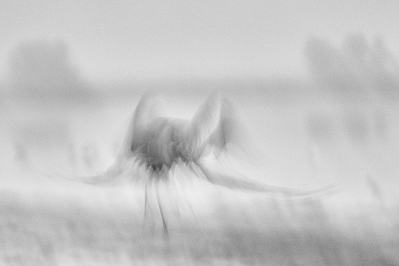 S2_02371_1