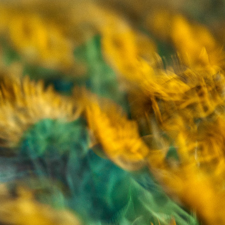 01_09131