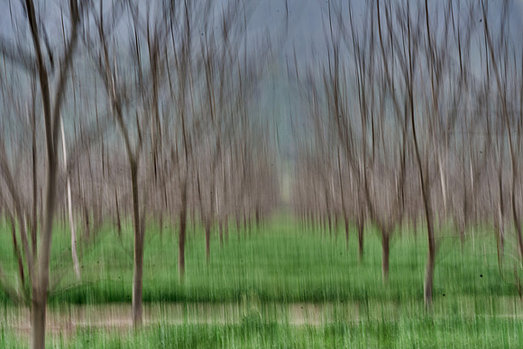 S1_04900