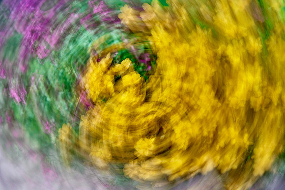 S1_04569