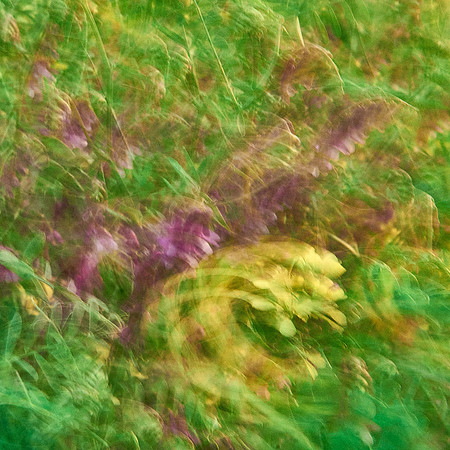 01_06830