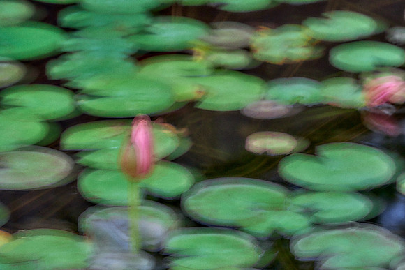2023_04_15_039