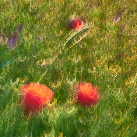 01_06962