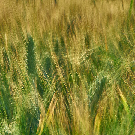 01_07056