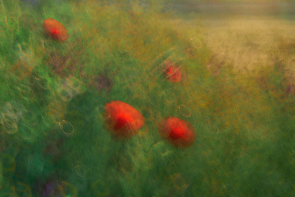 01_07001
