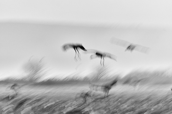 S2_02920_1