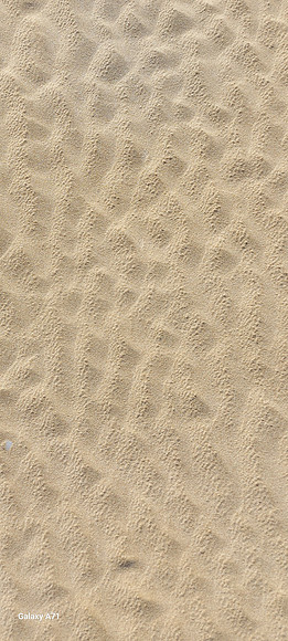 20250107_090646
