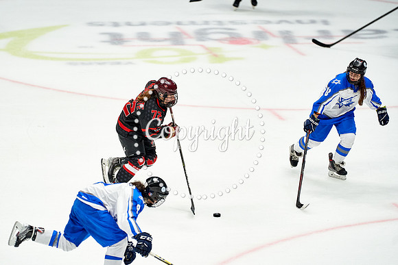 IMAGE_01195