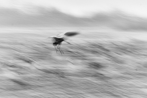 S2_01776_2