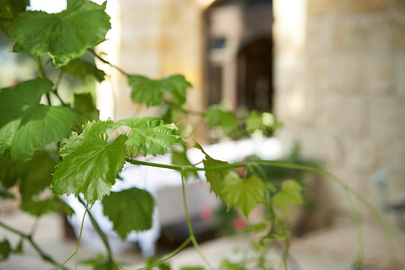 IMAGE_007