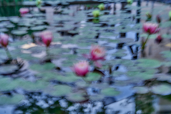 01_09278