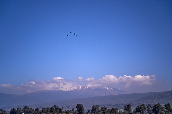 5101_AGMON_HAHULA_2025_03_01