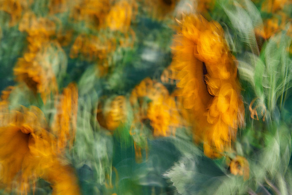 S1_00567
