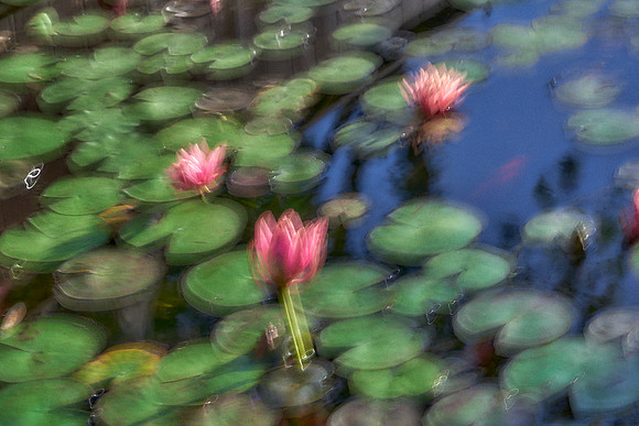 2023_04_14_028
