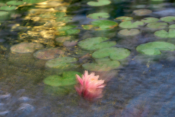 01_09519