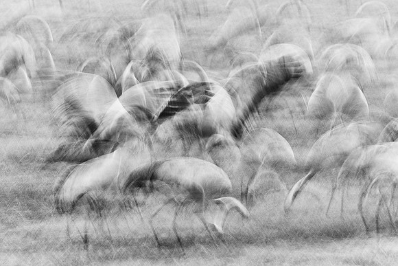 S2_01822_3