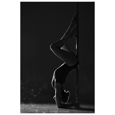 A7309607_ED_BW_04_COPYRIGHT
