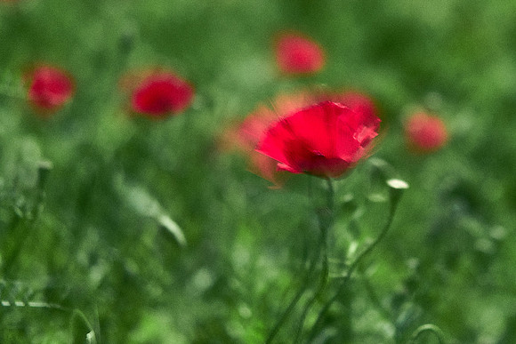 S1_07755
