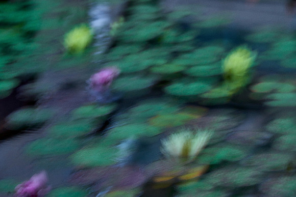 01_09442